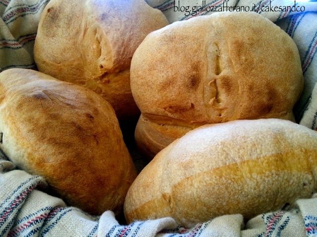 Pane di semola