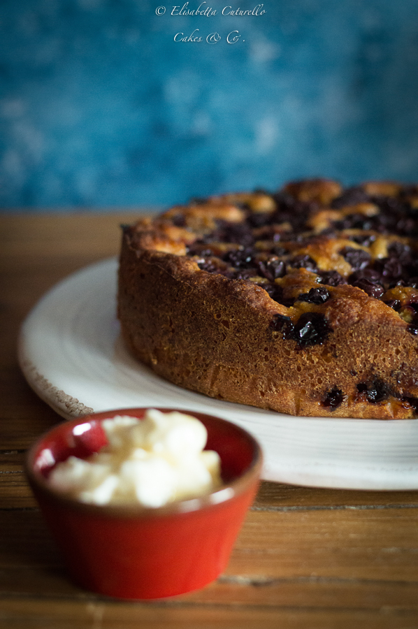Torta Bertolina