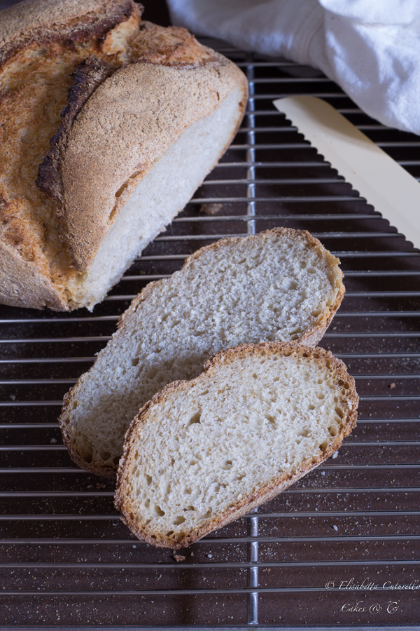 Pane Semintegrale Con Esubero Di Pasta Madre Pane semintegrale con esubero di pasta madre